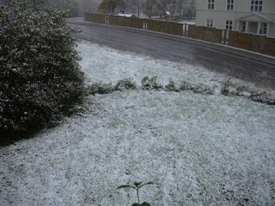 DSCN0512 (Custom).JPG